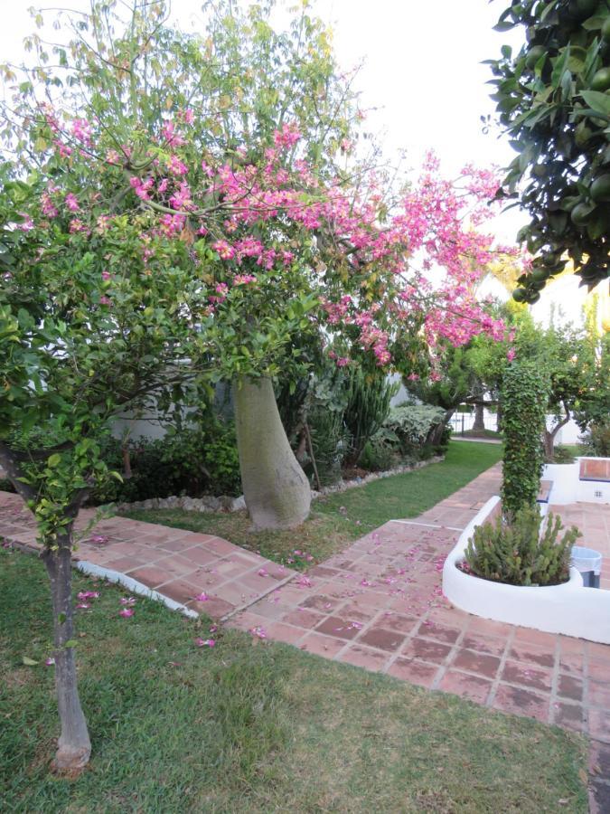 Apartamento Bien Situado En Marbella Kültér fotó